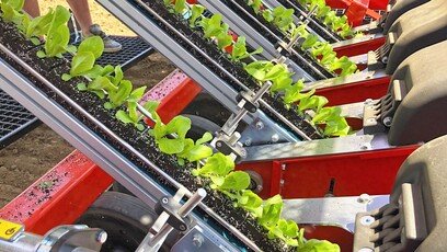 Transplanter 4.0